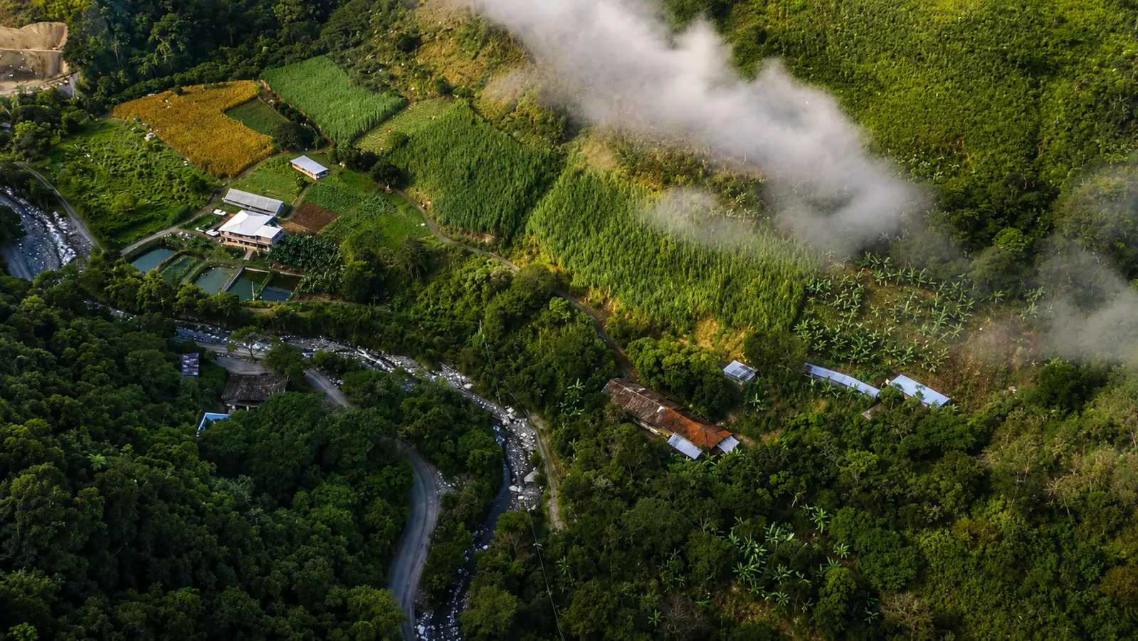 Hacienda La Florida: Award-Winning Specialty Coffee from Ecuador's Dry Forest