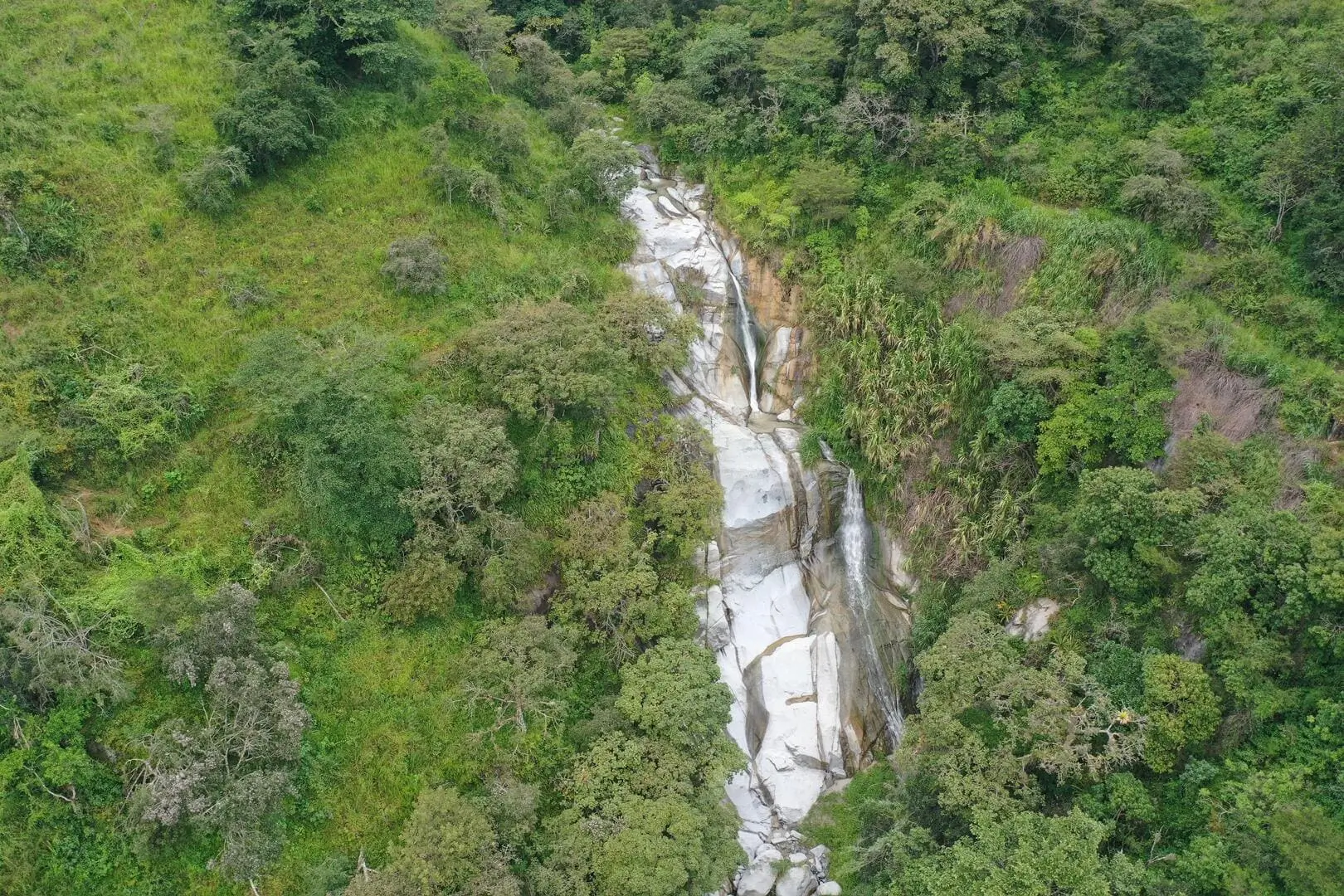 Aerial view of southern Ecuador Dry Forest