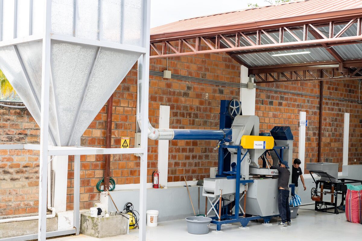 The Art of Dry Milling: Precision in Coffee Processing