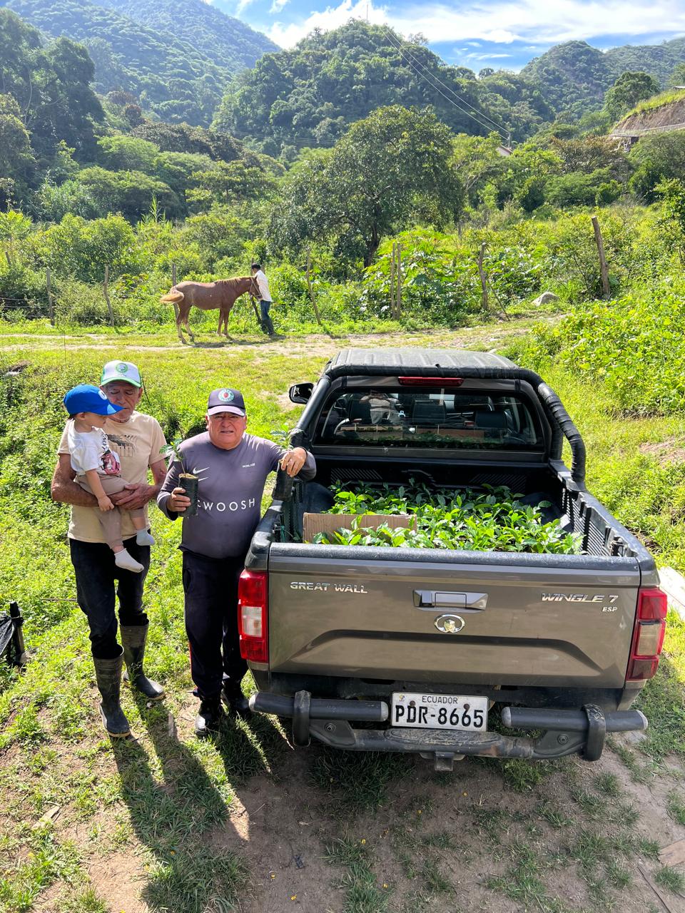 Farmer holding newly harvested high-quality coffee cherries from adapted seedlings
