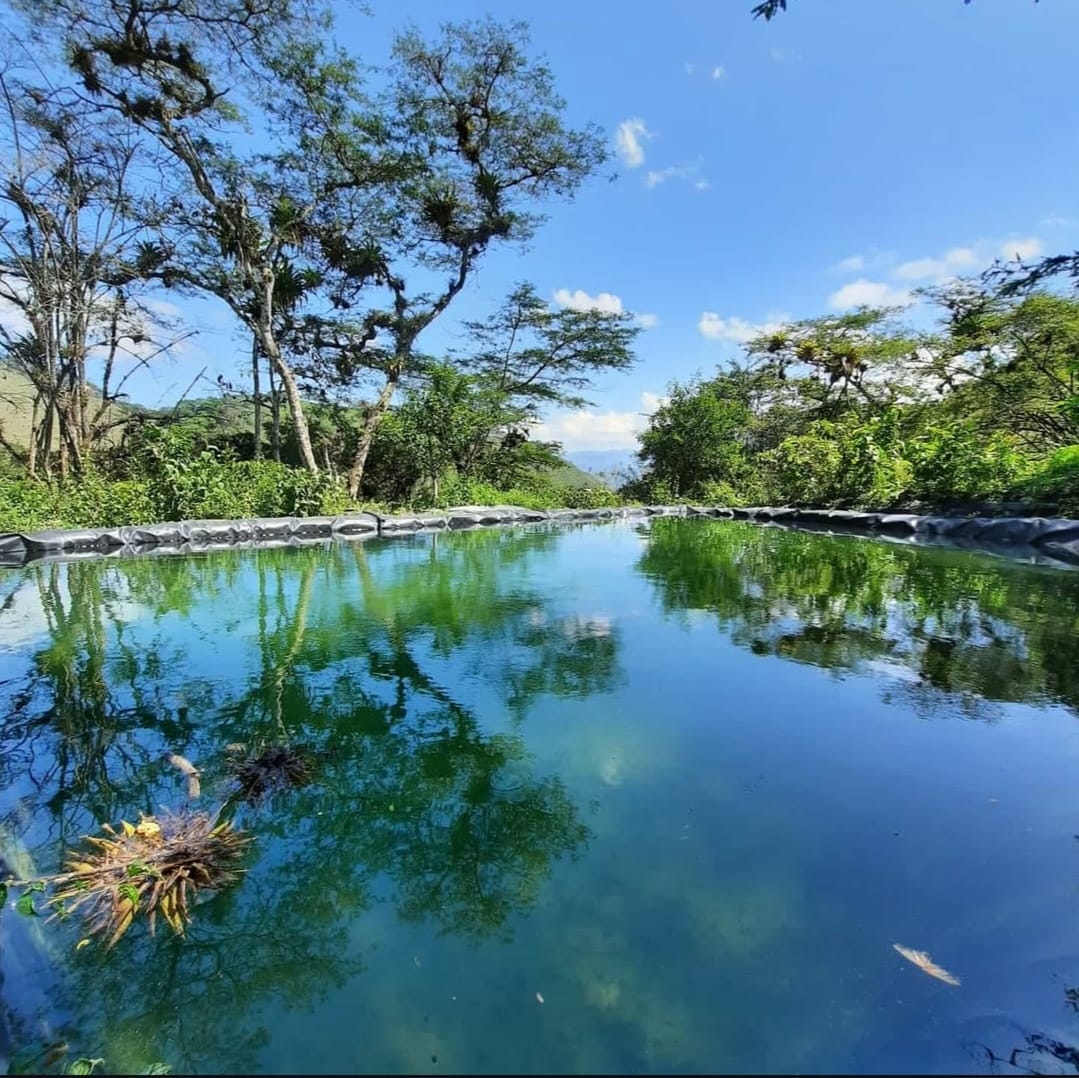 The Dry Forest: Ecuador's Hidden Coffee Paradise