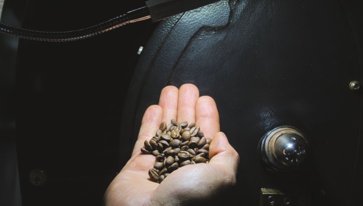 Precision roasting and cupping evaluation